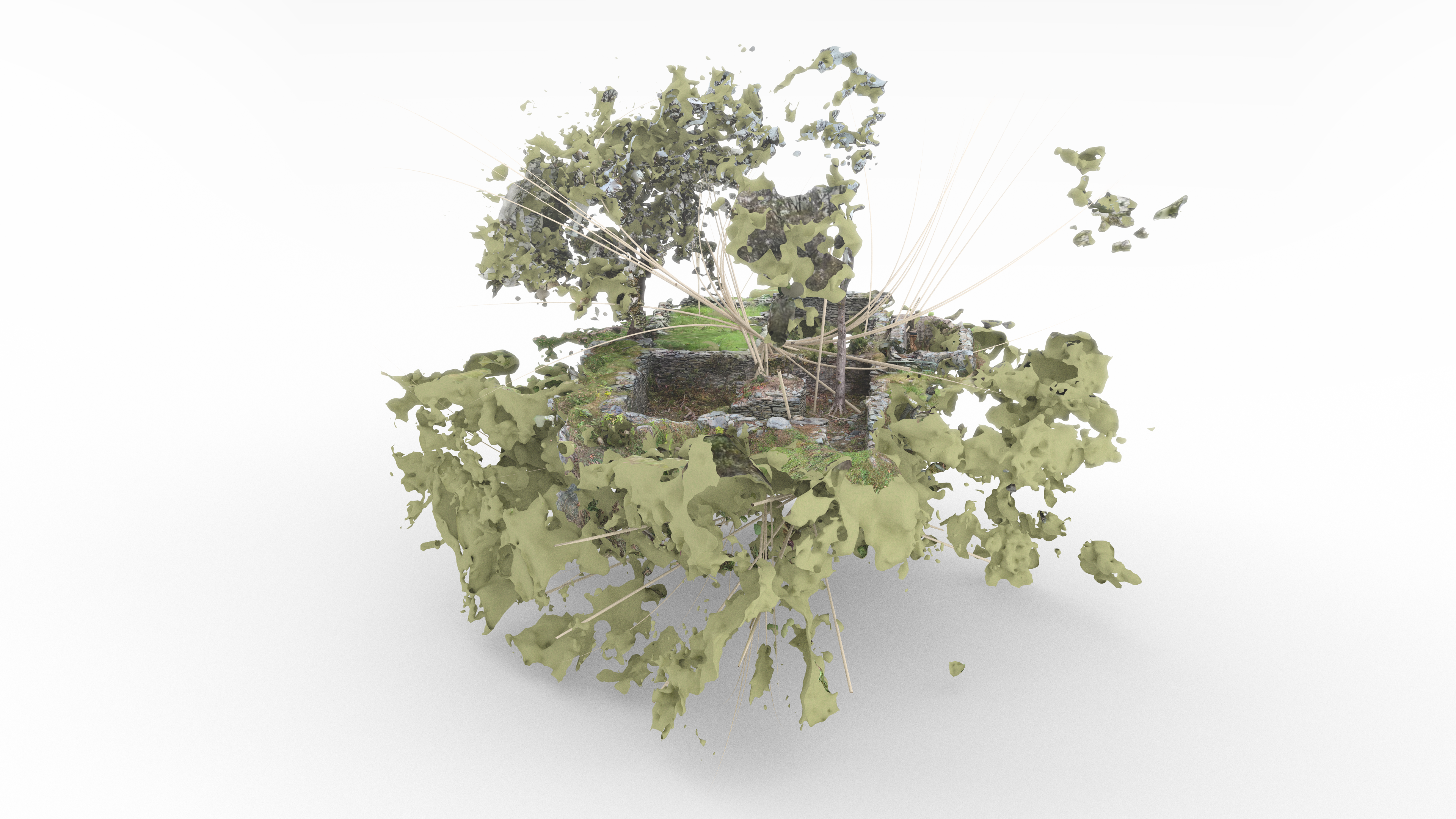 Simulation 7